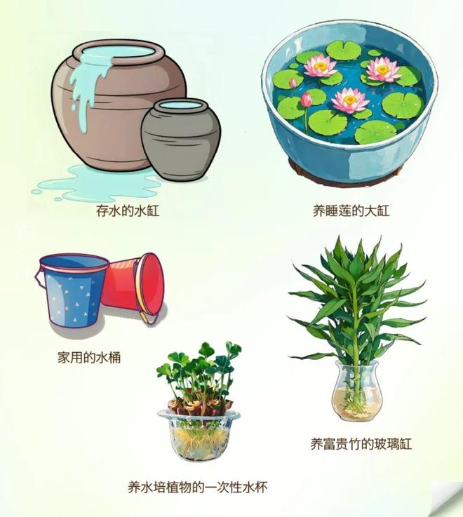 爱国卫生运动 清清清！大家齐动手别再“养”蚊为患！(图6)