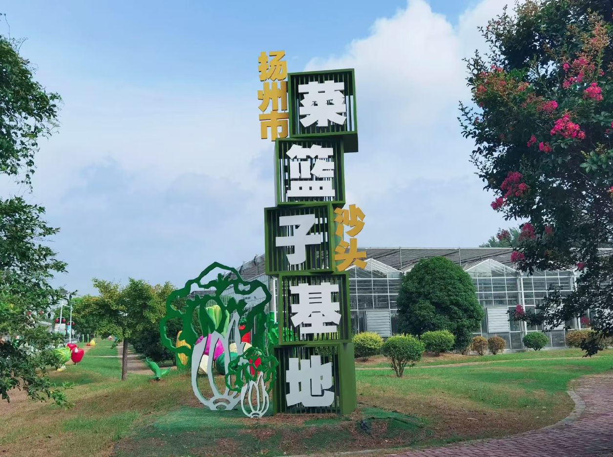 扬州沙头镇：文明作底色 体育添活力 产业当脊梁